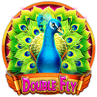double-fly