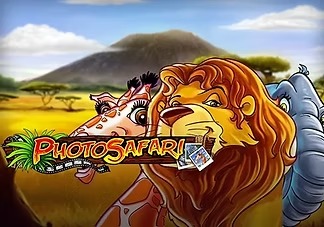 photo-safari